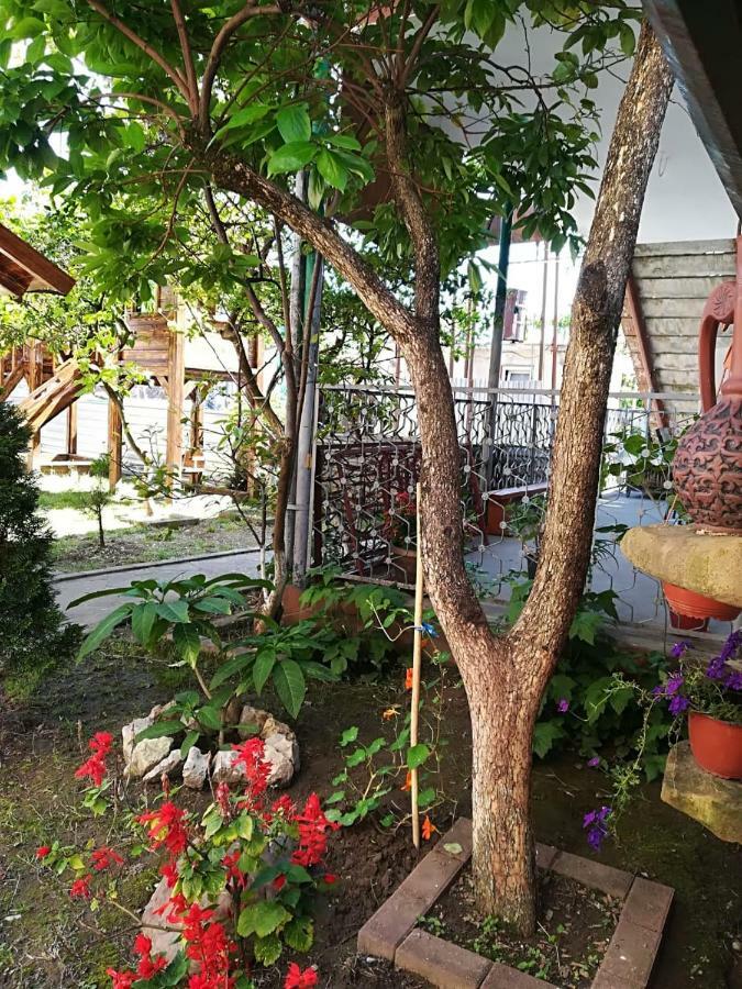Runo Guest House Gagra Eksteriør billede