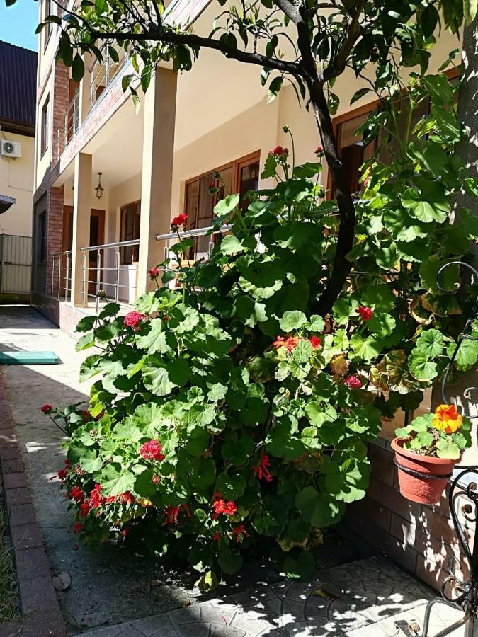 Runo Guest House Gagra Eksteriør billede